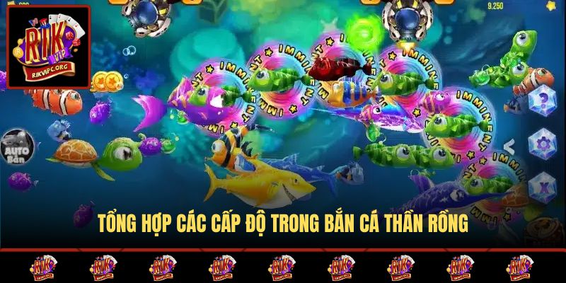 Tổng hợp các cấp độ trong Bắn Cá Thần Rồng